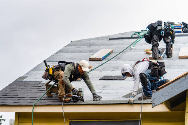 Professional Gutter Installation technician working in Wyanet, IL
